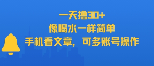 一天撸30+，像喝水一样简单，手机看文章，可多账号操作-赛德副业库