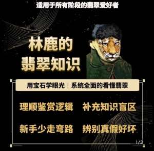 林鹿的翡翠知识，​用宝石眼光，系统全面的看懂翡翠-赛德副业库