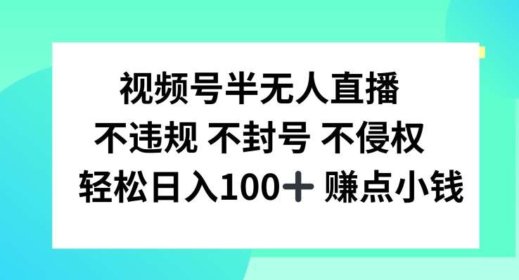 视频号半无人直播，不违规不封号，轻松日入100+【揭秘】-赛德副业库