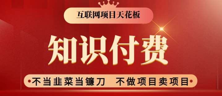 2024互联网项目天花板，新手小白也可以通过知识付费月入10W，实现财富自由【揭秘】-赛德副业库