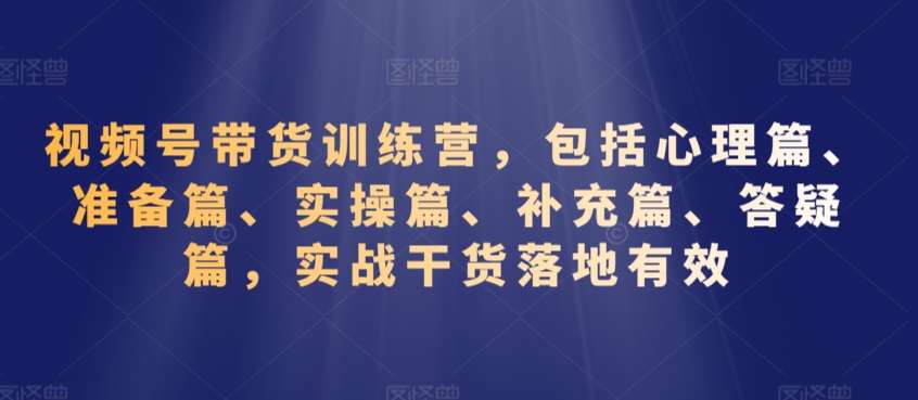 视频号带货训练营,包括心理篇、准备篇、实操篇、补充篇、答疑篇,实战干货落地有效-赛德副业库