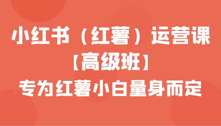 小红书（红薯）运营课【高级班】，专为红薯小白量身而定（42节课）-赛德副业库