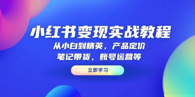 小红书变现实战教程：从小白到精英，产品定价，笔记带货，账号运营等-赛德副业库