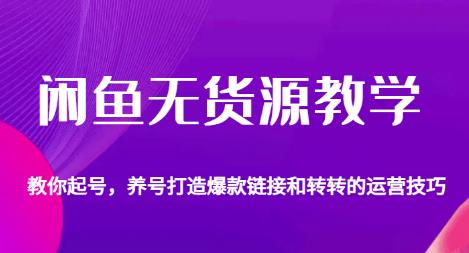 闲鱼无货源教学，教你起号，养号打造爆款链接以及转转的运营技巧-赛德副业库