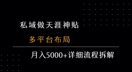 私域做天涯神贴 多平台布局 月入5k+详细流程拆解-赛德副业库