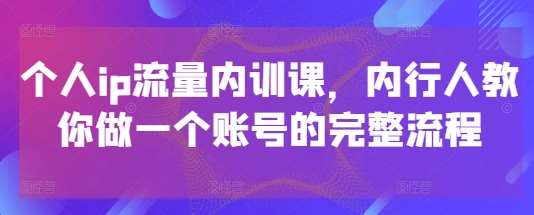 个人ip流量内训课,内行人教你做一个账号的完整流程-赛德副业库