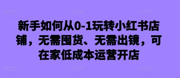 新手如何从0-1玩转小红书店铺，无需囤货、无需出镜，可在家低成本运营开店-赛德副业库