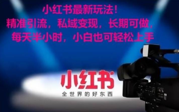小红书最新玩法！精准引流，私域变现，长期可做，每天半小时，小白也可轻松上手-赛德副业库