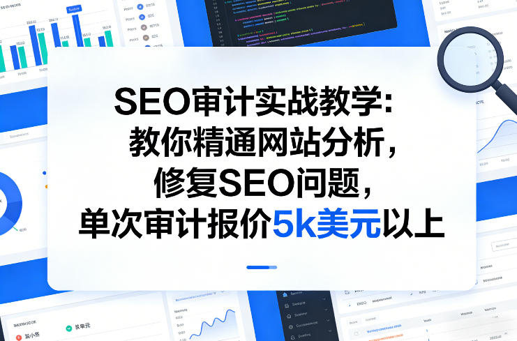 SEO审计实战教学:教你精通网站分析,修复SEO问题,单次审计报价5k美元以上-赛德副业库
