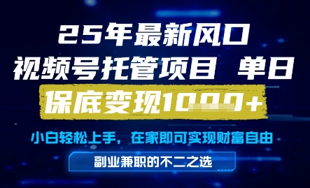 25年最新风口，视频号托管项目，单日保底变现1k+，手把手教学【揭秘】-赛德副业库