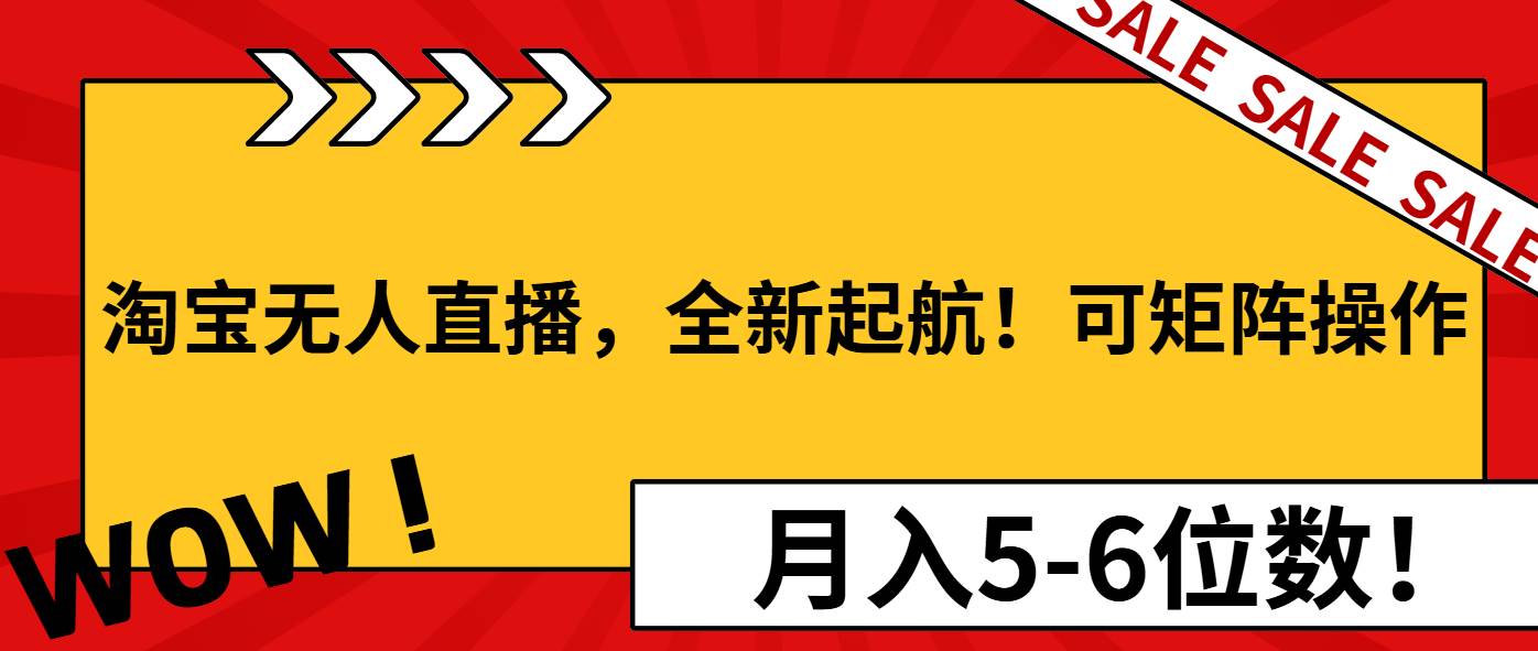 （13946期）淘宝无人直播，全新起航！可矩阵操作，月入5-6位数！-赛德副业库