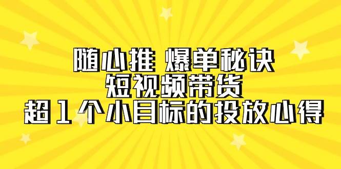 （9687期）随心推 爆单秘诀，短视频带货-超1个小目标的投放心得（7节视频课）-赛德副业库