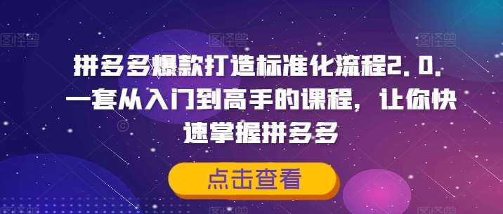 拼多多爆款打造标准化流程2.0，一套从入门到高手的课程，让你快速掌握拼多多-赛德副业库