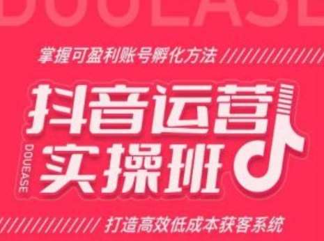 抖音运营实操班，掌握可盈利账号孵化方法，打造高效低成本获客系统-赛德副业库