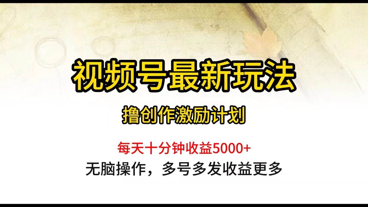 （10087期）视频号最新玩法，每日一小时月入5000+-赛德副业库