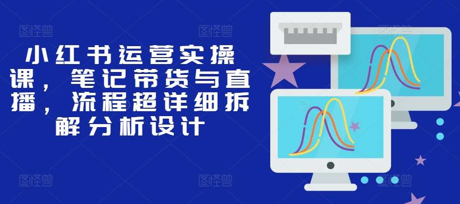 小红书运营实操课,笔记带货与直播,流程超详细拆解分析设计-赛德副业库
