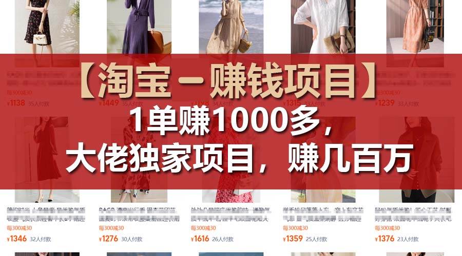 （11685期）【淘宝赚钱项目】1单可赚1000多，大佬独家项目，年赚几百万-赛德副业库
