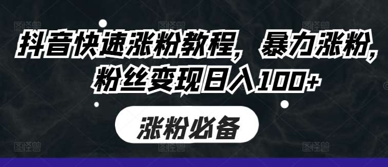 抖音快速涨粉教程，暴力涨粉，粉丝变现日入100+-赛德副业库