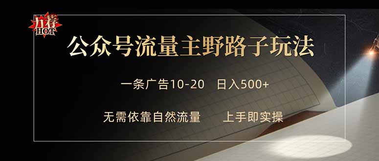 （18178期）公众号流量主野路子玩法 单条广告10-20元 日入500+-赛德副业库