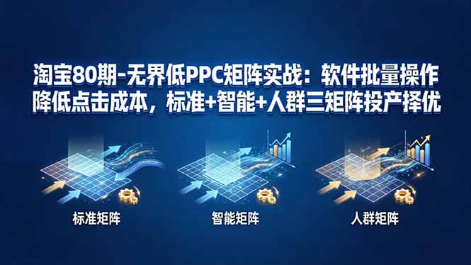 （17987期）淘宝80期-无界低PPC矩阵实战：软件批量操作降低点击成本，标准+智能+人群三矩阵投产择优-赛德副业库