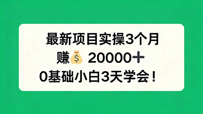 （17856期）最新项目实操3个月，赚钱20000+，0基础小白3天学会！-赛德副业库