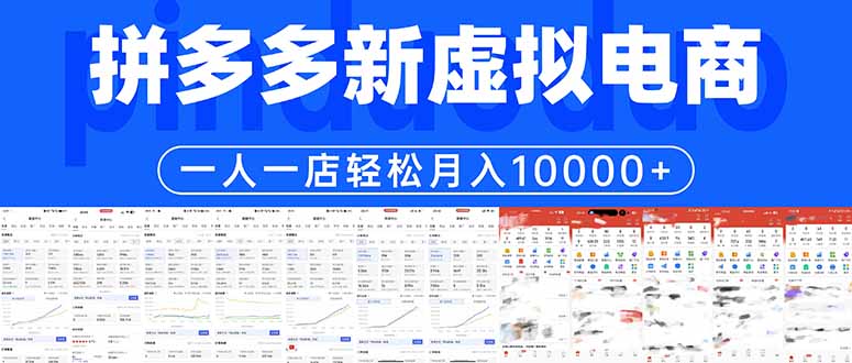 (17978期)拼多多虚拟电商一人一店轻松月入10000+-赛德副业库