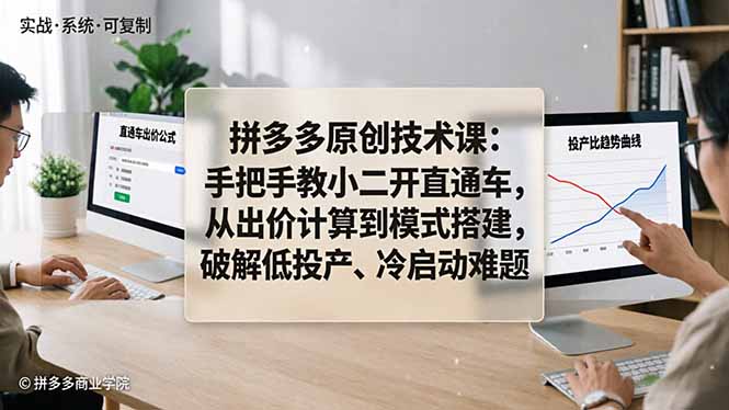 (18159期)拼多多原创技术课:手把手教小二开直通车,从出价计算到模式搭建,破解低投产、冷启动难题-赛德副业库