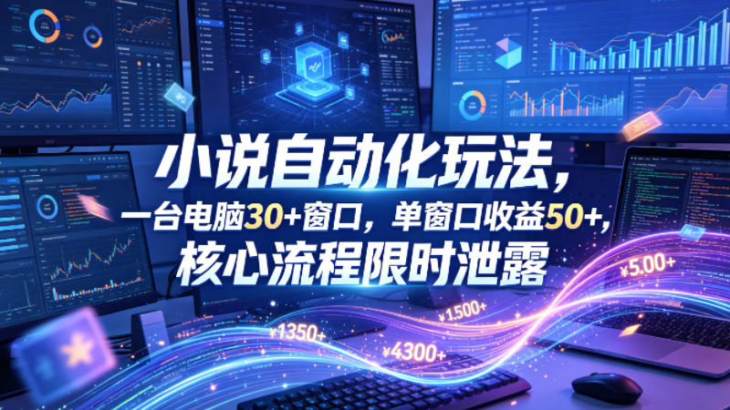 小说挂G自动化玩法,一台电脑30+窗口,单窗口收益50+,核心流程限时泄露【揭秘】-赛德副业库