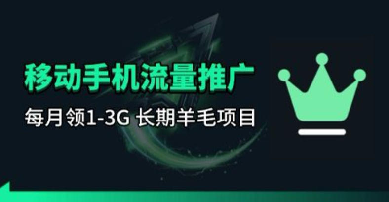 手机流量领取推广_每月一轮,刚需类的长期项目-赛德副业库