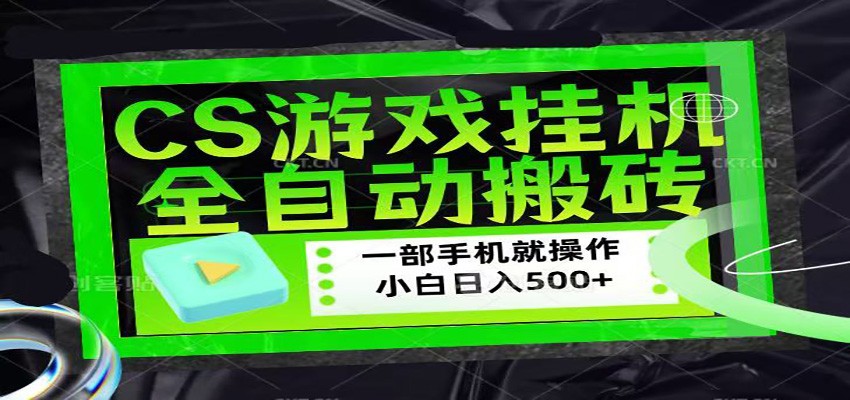 CSGO游戏挂机捡漏搬砖，超稳定的项目，带领1000+小白实现日入500+-赛德副业库