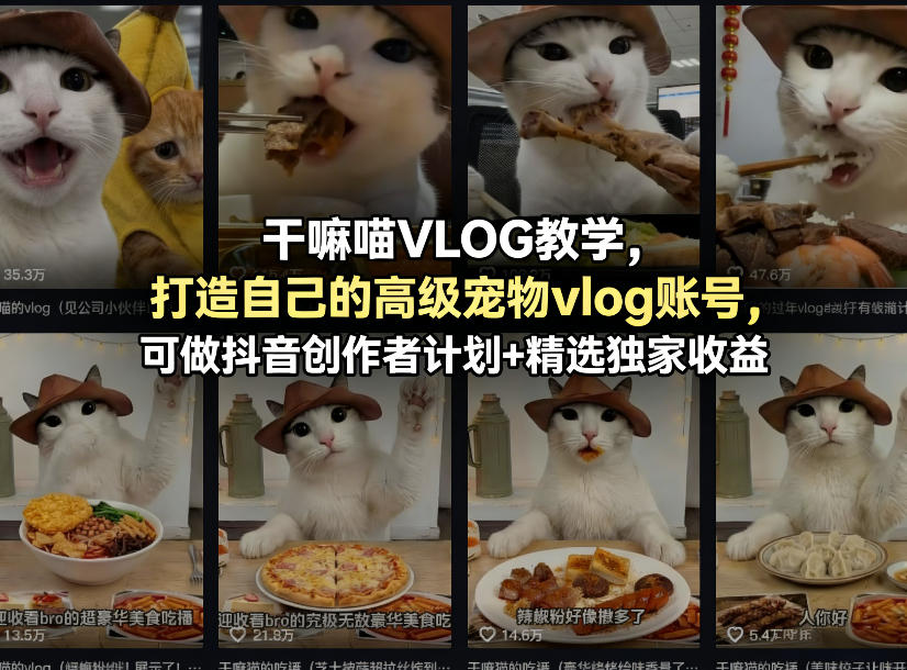 干嘛喵VLOG教学，打造自己的高级宠物vlog账号，可做抖音创作者计划+精选独家收益-赛德副业库