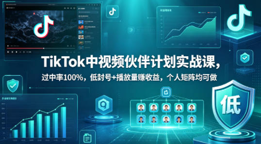 TikTok中视频伙伴计划实战课,过中率100%,低封号+播放量賺收益,个人矩阵均可做-赛德副业库