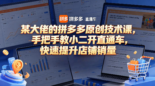 某大佬的拼多多原创技术课,手把手教小二开直通车,快速提升店铺销量-赛德副业库
