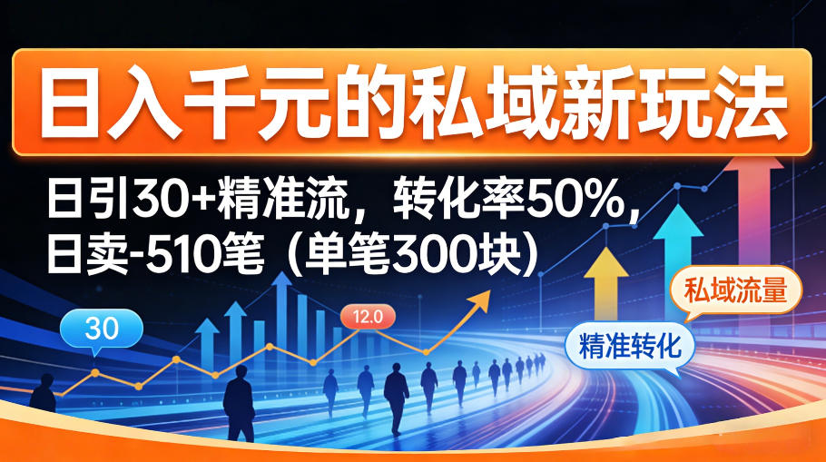 日入千米的私域新玩法:日引30+精准流,转化率50%,日卖5-10笔(单笔300米)-赛德副业库