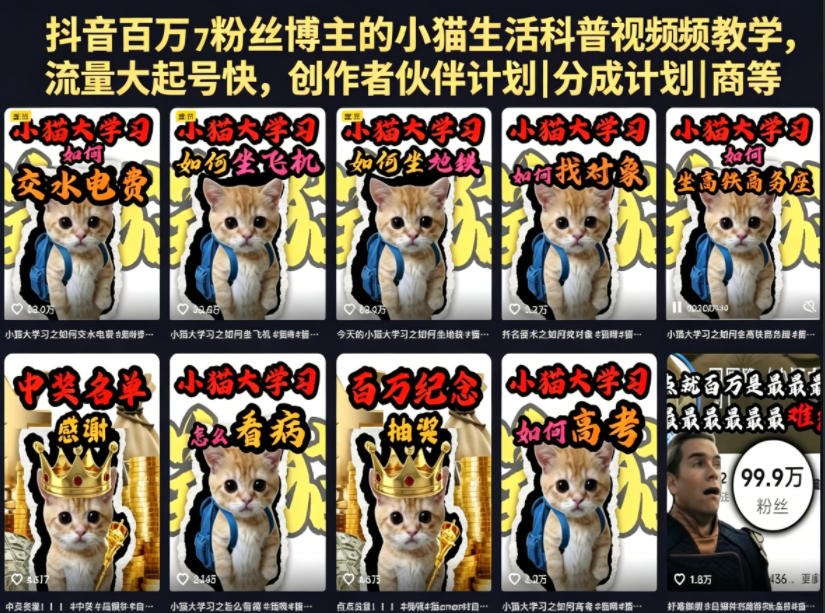 抖音百万粉丝博主的小猫生活科普视频教学，流量大起号快，创作者伙伴计划|分成计划|商单|收徒等-赛德副业库