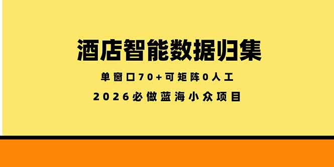 (18500期)酒店智能数据归集,小众蓝海已经稳定半年之久,单窗口70+零成本矩阵开干-赛德副业库