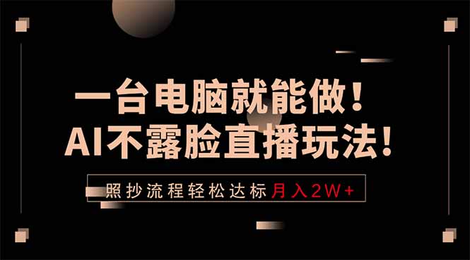 (18472期)一台电脑就能做!AI不露脸直播玩法,照抄流程轻松达标月入2W+-赛德副业库