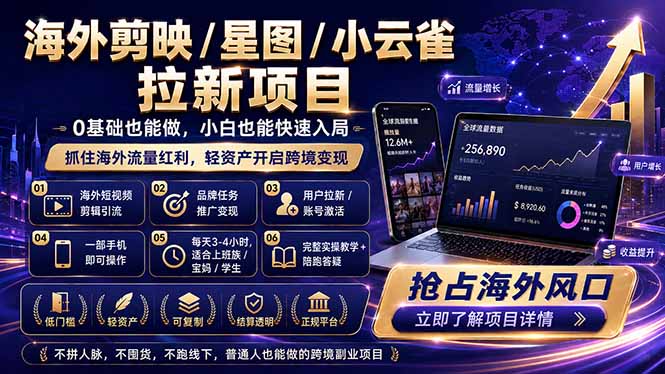 (18567期)海外剪映 / 星图 / 小云雀拉新项目 普通人也能上手的跨境流量变现副业-赛德副业库