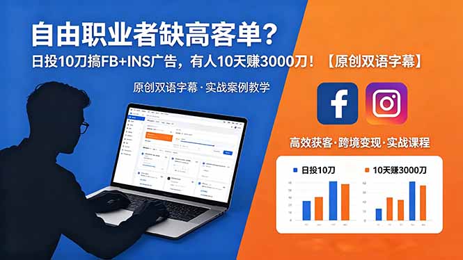(18489期)自由职业者缺高客单?日投 10 刀搞 FB+INS 广告,有人 10 天赚 3000 刀!【原创双语字幕】-赛德副业库