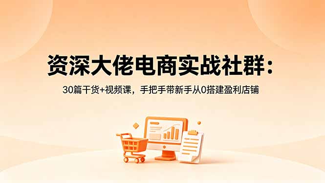 (18529期)资深大佬电商实战社群:30篇干货+视频课,手把手带新手从0搭建盈利店铺-赛德副业库