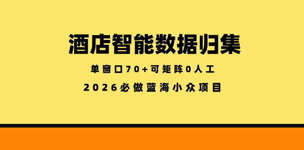 酒店智能数据归集,小众蓝海已经稳定半年之久,单窗口70+零成本矩阵开干【揭秘】-赛德副业库