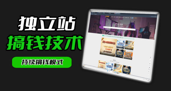 干货来袭！麦子甜带你吃透独立站｜从搭建到引流一站式教学《独立站》第一期-赛德副业库