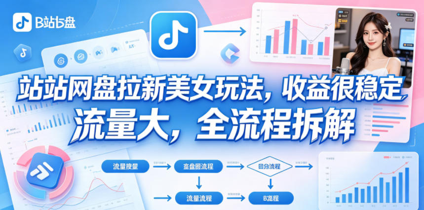 B站网盘拉新美女玩法，收益很稳定，流量大，全流程拆解-赛德副业库