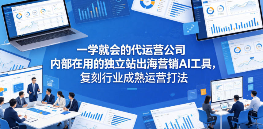 一学就会的代运营公司内部在用的独立站出海营销AI工具，复刻行业成熟运营打法-赛德副业库