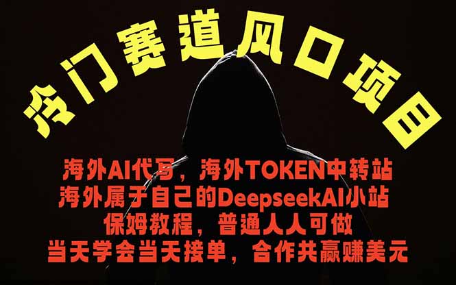 (18714期)冷门赛道风口项目 海外AI代写!0成本运作完全免费!当天注册当天接单,接单接到手抽筋,无脑...-赛德副业库