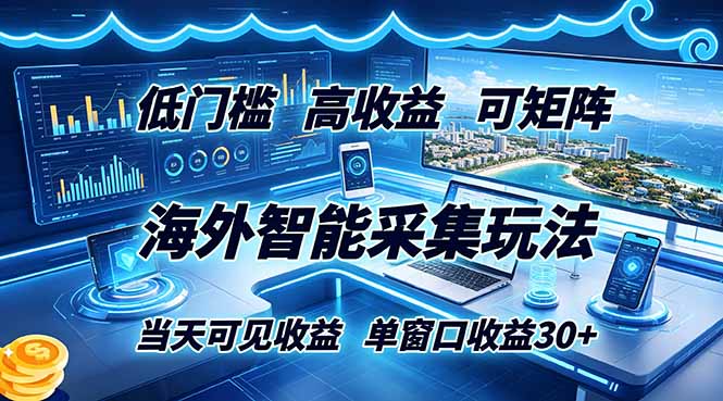 (18955期)海外智能采集玩法,低门槛高单价可矩阵,当天可见收益,单窗口30+-赛德副业库