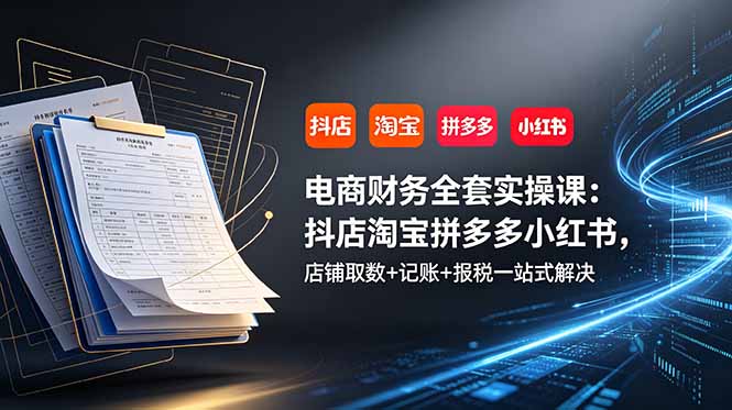 (19001期)电商财务全套实操课:抖店淘宝拼多多小红书,店铺取数+记账+报税一站式解决-赛德副业库