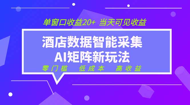 （19041期）2026酒店数据采集ai智能矩阵新风口  低成本   高收益   当天见收益   单窗口20+-赛德副业库