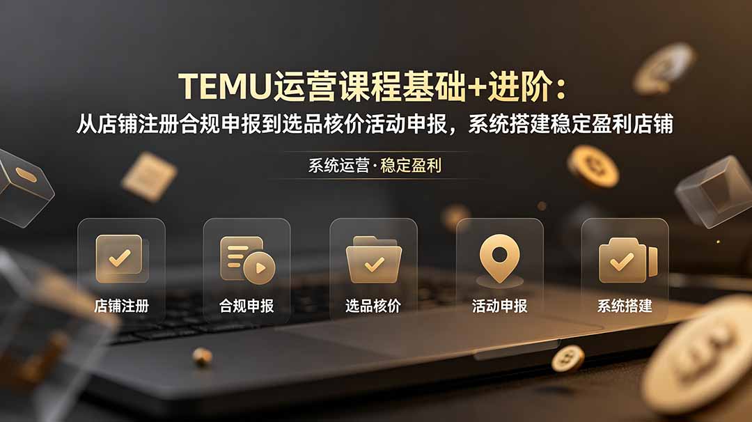 （19081期）TEMU运营课程（基础+进阶）：从店铺注册合规申报到选品核价活动申报，系统搭建稳定盈利店铺-赛德副业库