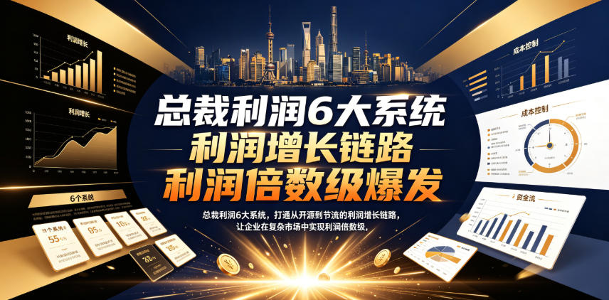 总裁利润6大系统，打通从开源到节流的利润增长链路，让企业在复杂市场中实现利润倍数级爆发-赛德副业库